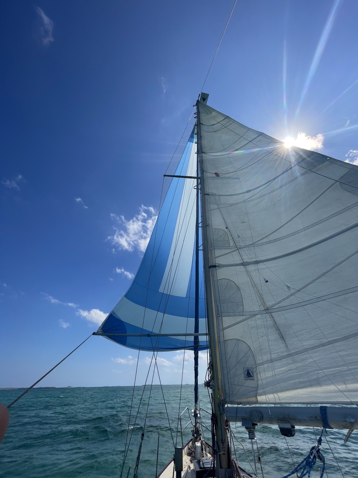 Looking up at sails in the sun