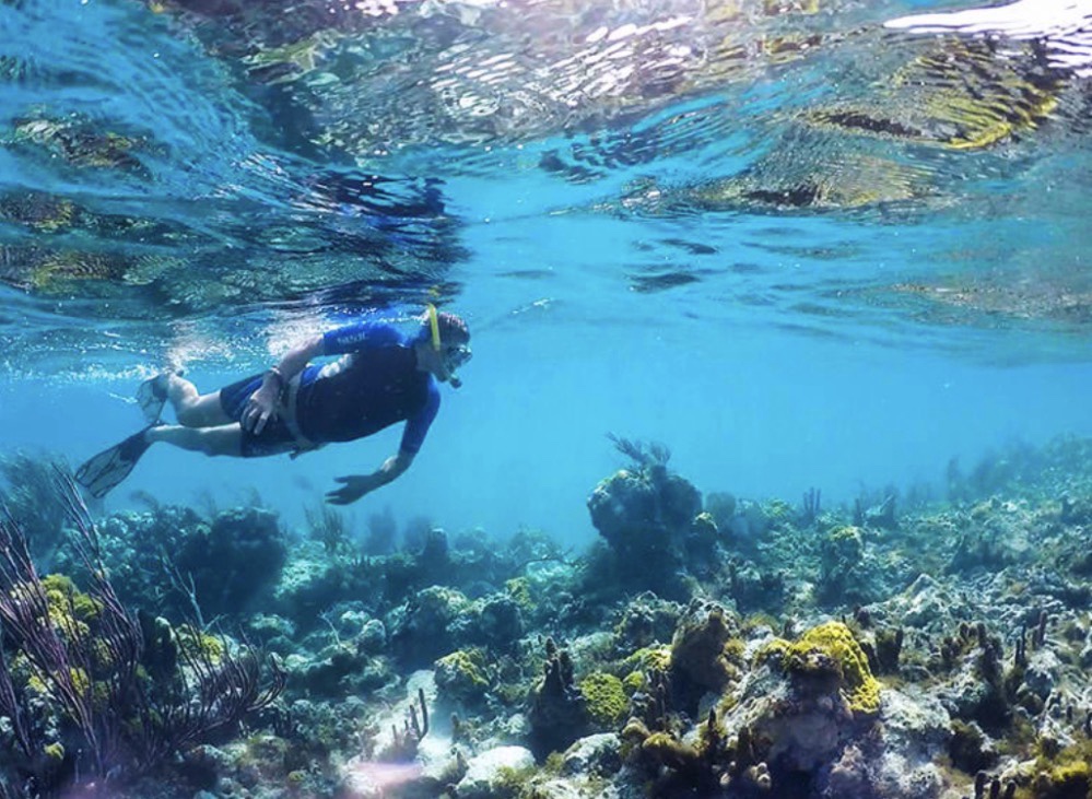 Snorkeling in clear water